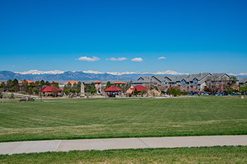 THE “WOW!” IN WESTMINSTER