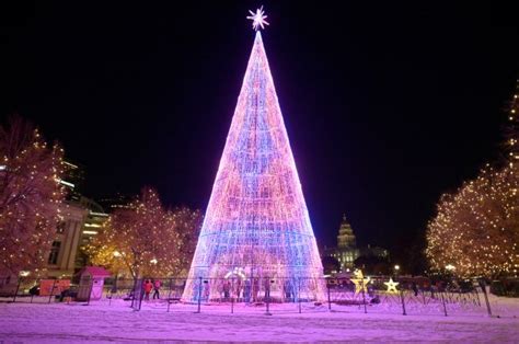 The Mile High Tree
