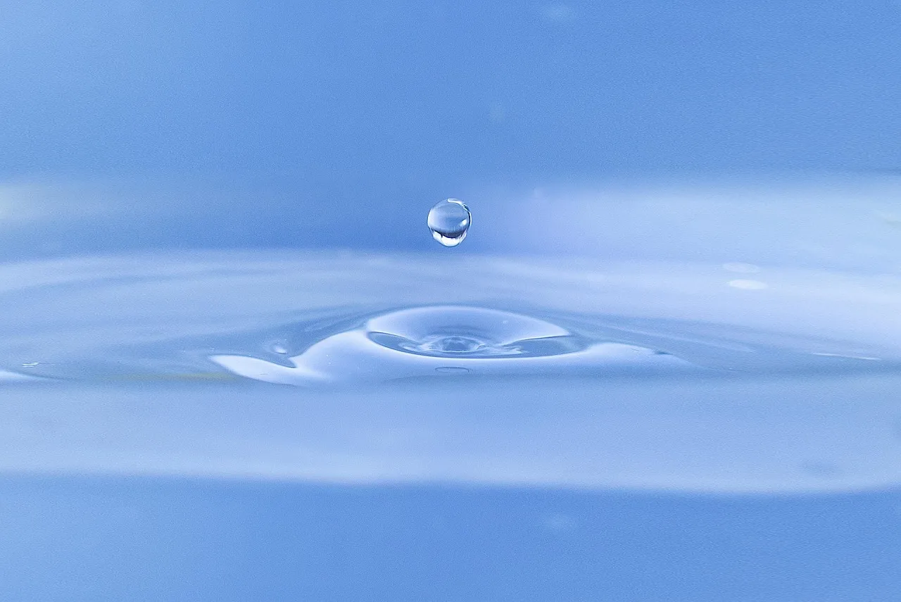 What’s Up with Wellington Water?