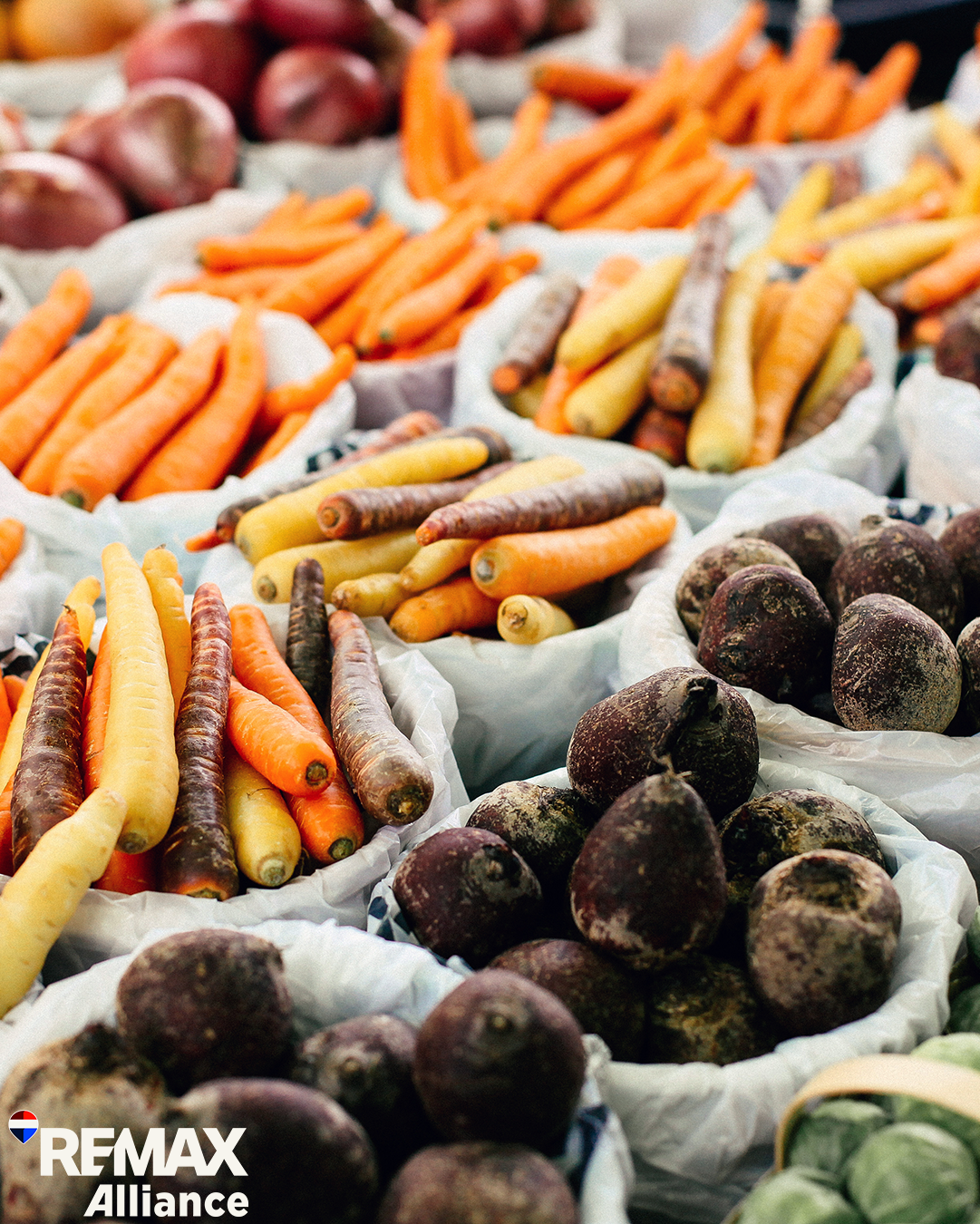 Fall Harvest Along the Front Range