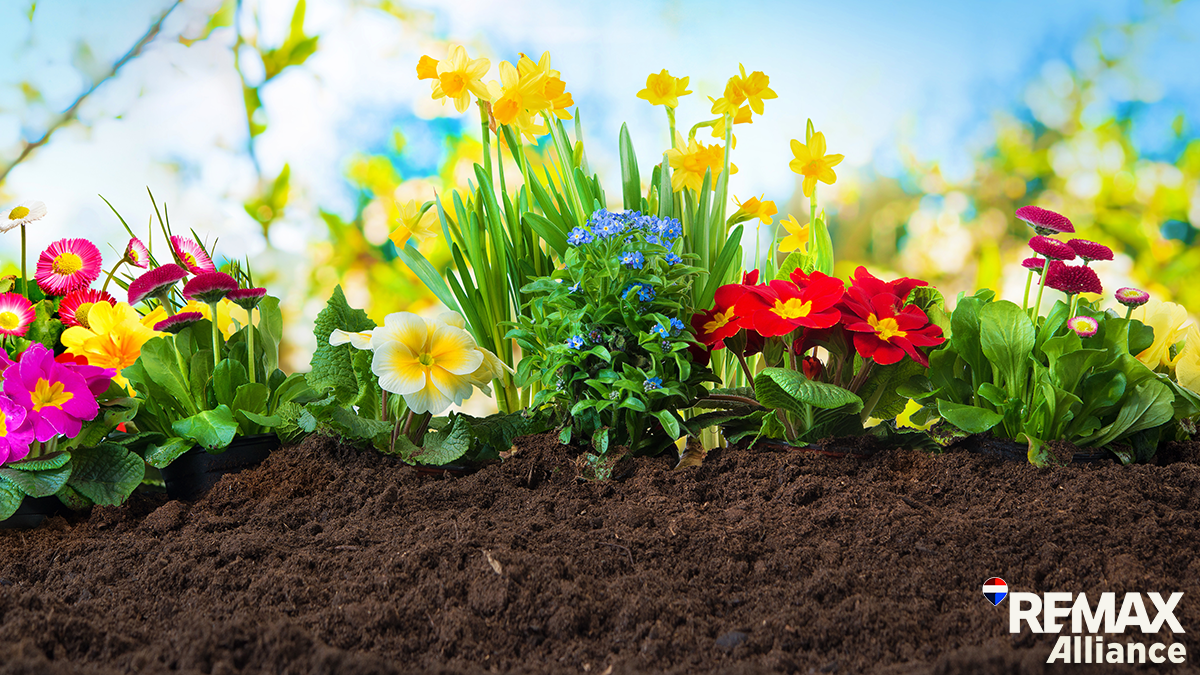 The 2025 Spring Market: What You Need to Know