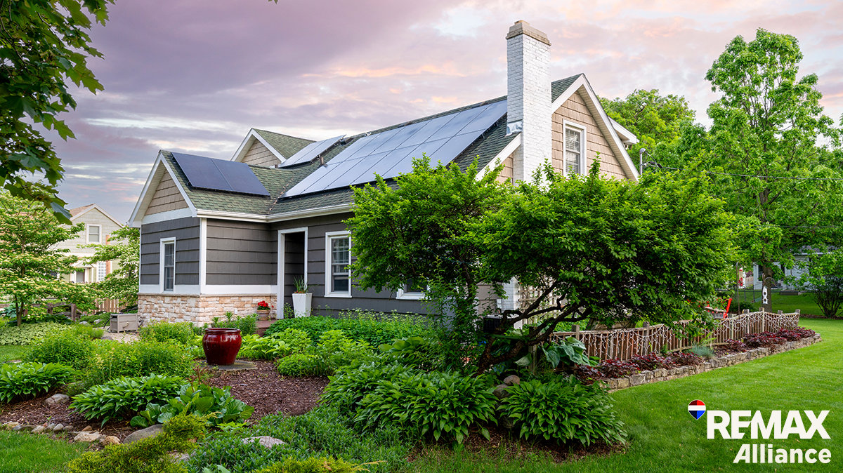 Green Living: How Colorado Homeowners Can Save Money & Help the Environment