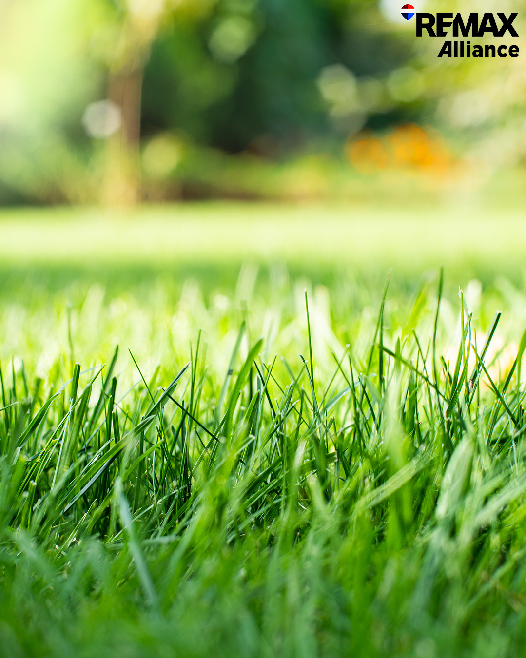 The Real Estate Value of Healthy Grass